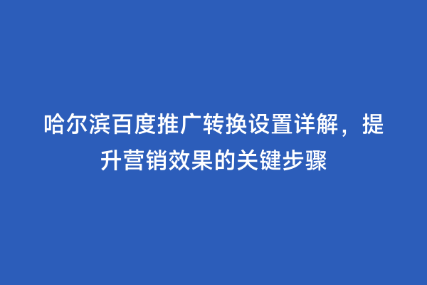 哈尔滨百度推广转换设置详解，提升营销效果的关键步骤