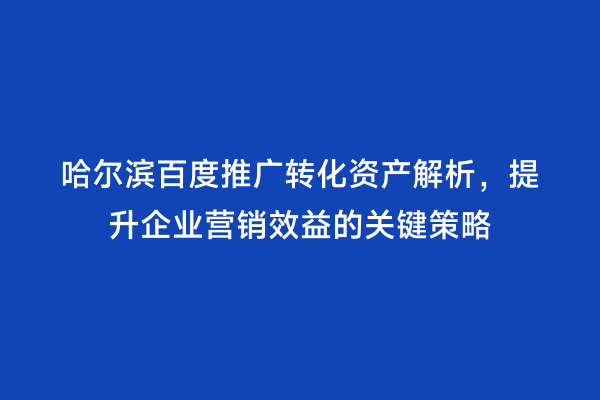 哈尔滨百度推广转化资产解析，提升企业营销效益的关键策略