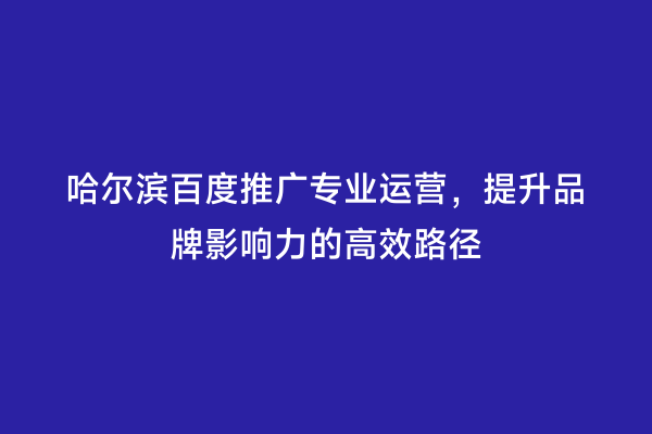 哈尔滨百度推广专业运营，提升品牌影响力的高效路径