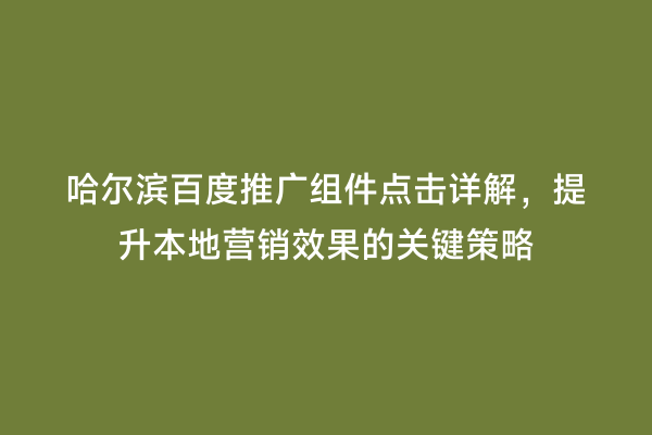 哈尔滨百度推广组件点击详解，提升本地营销效果的关键策略