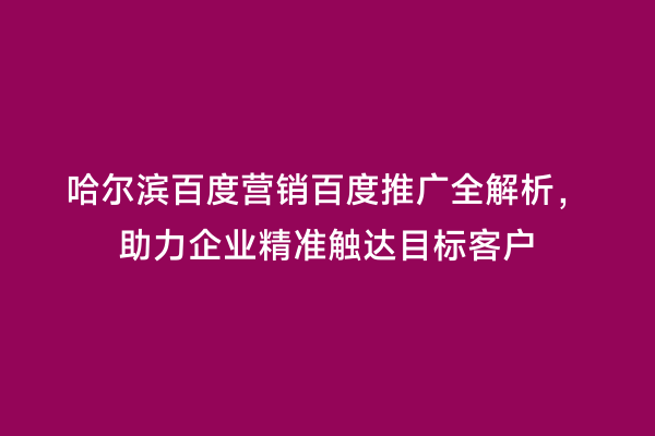 哈尔滨百度营销百度推广全解析，助力企业精准触达目标客户