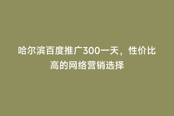 哈尔滨百度推广300一天，性价比高的网络营销选择
