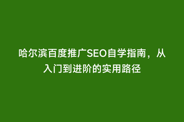 哈尔滨百度推广SEO自学指南，从入门到进阶的实用路径