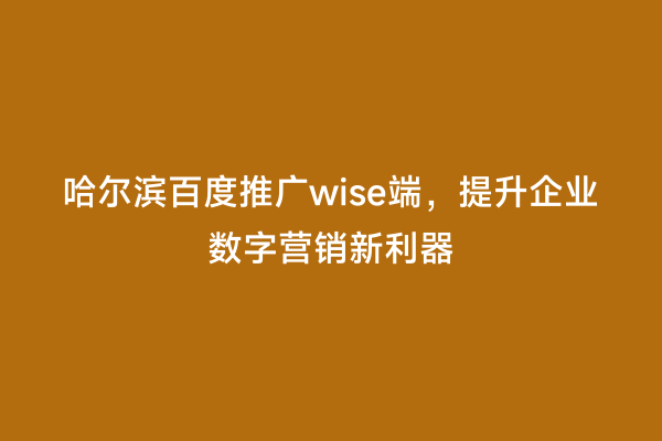 哈尔滨百度推广wise端，提升企业数字营销新利器