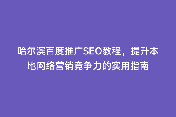 哈尔滨百度推广SEO教程，提升本地网络营销竞争力的实用指南