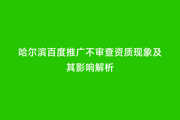 哈尔滨百度推广不审查资质现象及其影响解析