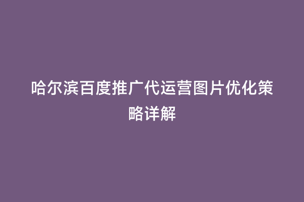 哈尔滨百度推广代运营图片优化策略详解