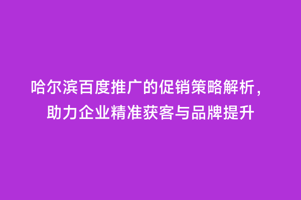 哈尔滨百度推广的促销策略解析，助力企业精准获客与品牌提升