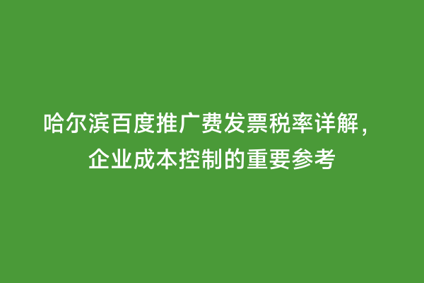 哈尔滨百度推广费发票税率详解，企业成本控制的重要参考