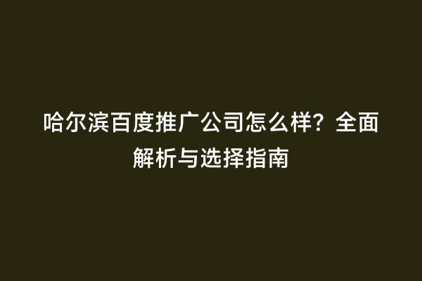 哈尔滨百度推广公司怎么样？全面解析与选择指南