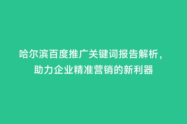 哈尔滨百度推广关键词报告解析，助力企业精准营销的新利器