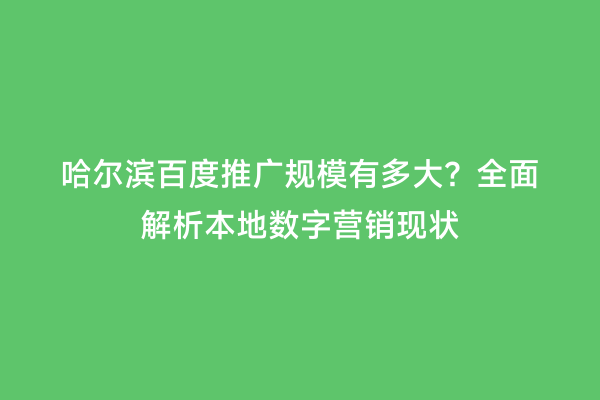 哈尔滨百度推广规模有多大？全面解析本地数字营销现状